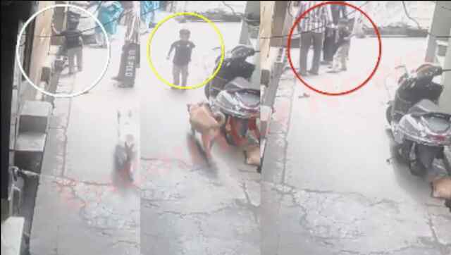 आवारा कुत्तों का आतंक, 5 वर्षीय बच्चे पर किया हमला, गंभीर घायल, देखें CCTV