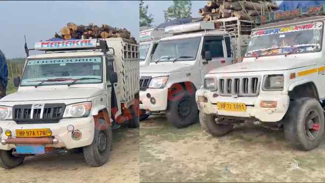 वन विभाग की बड़ी कार्रवाई: अवैध लकड़ी से लदे 10 वाहन जब्त, रातभर चला सर्च ऑपरेशन देखें वीडियो