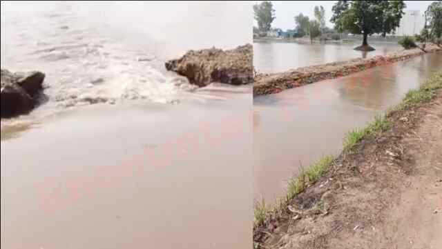 Punjab News: गुरदासपुर के बाद इस गांव की नदी में आईं दरार, खेतों में भरा पानी, देखें वीडियो