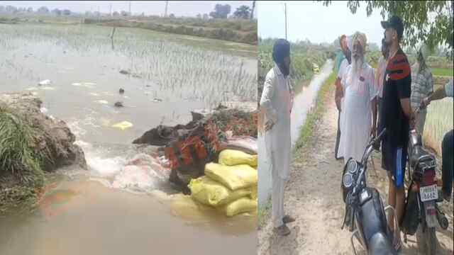 Punjab News: इस इलाके में टूटी नहर, खेतों में पानी घुसने से डूबी फसलें, देखें वीडियो