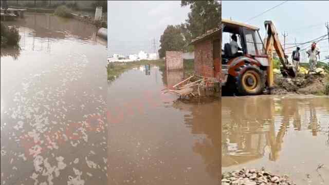 Jalandhar News: नहर का टूटा बांध, कालोनियों में घुसा पानी, कार्य में जुटे लोग, देखें वीडियो