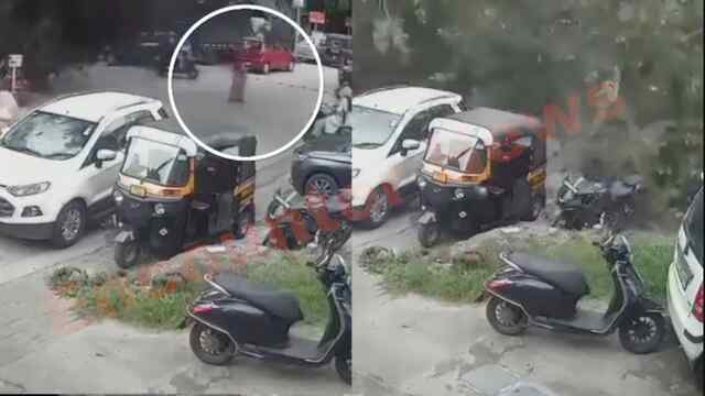 टला हादसाः अचानक सड़क पर गिरा सदियों पुराना विशाल पेड़, देखें CCTV