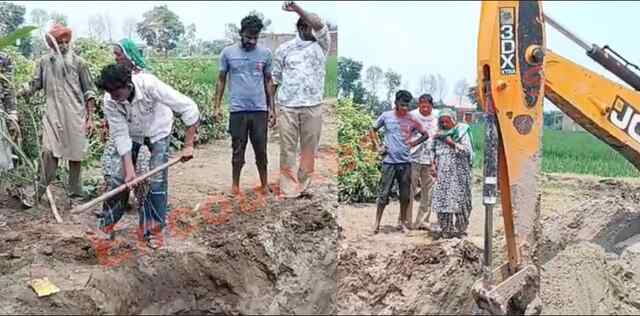 Punjab News: विभाग की लापरवाही, बिजली के पोल से करंट लगने से पशु की मौत, देखें वीडियो