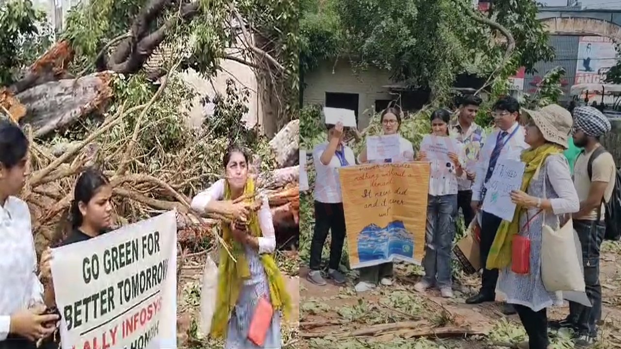 Jalandhar News: Civil Hospital में 100 साल पुराने पेड़ काटने को लेकर प्रदर्शन, देखें वीडियो