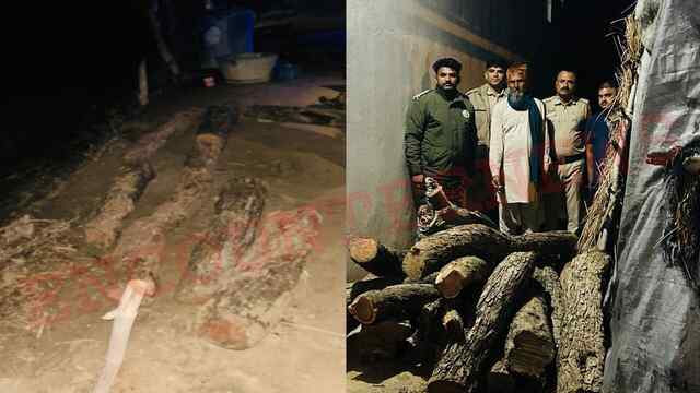 Himachal News: गगरेट में अवैध खैर की लकड़ी पकड़ी, मामला दर्ज
