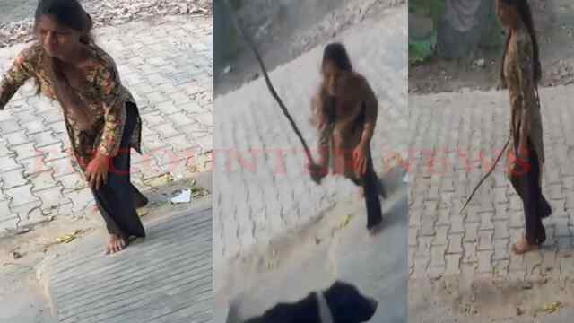 Punjab News: महिला ने की क्रूरता की हदें पार, कुत्ते को डंडों से पीटकर किया अधमरा, FIR दर्ज, देखें वीडियो