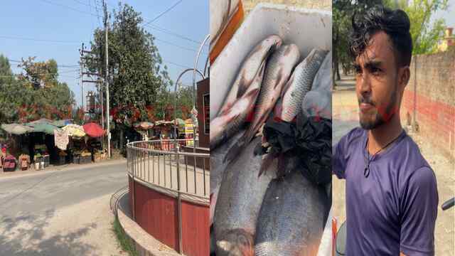 Jalandhar News: श्री गुरु रविदास चौक के पास Non-Veg बेचने को लेकर रोष, जल्द जारी होगा नोटिस, देखें वीडियो