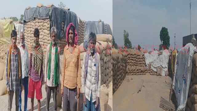 Punjab News: गेहूं की लिफ्टिंग को लेकर आढ़ती परेशान, एजेंसियों से की अपील, देखें वीडियो