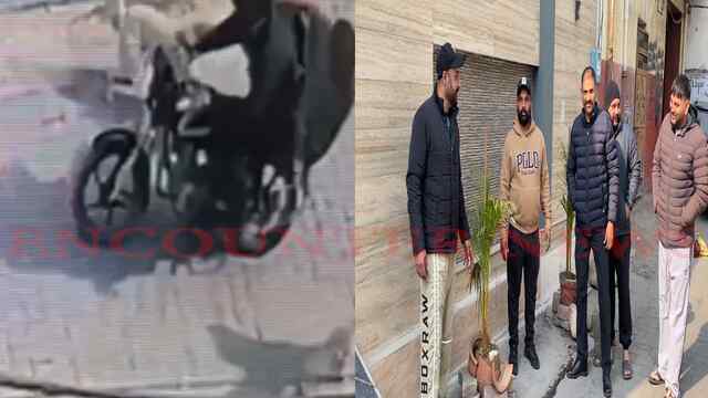 Jalandhar News: आवारा कुत्तों का कहर, 20 से ज्यादा घायल, नगर निगम से की अपील, देखें वीडियो