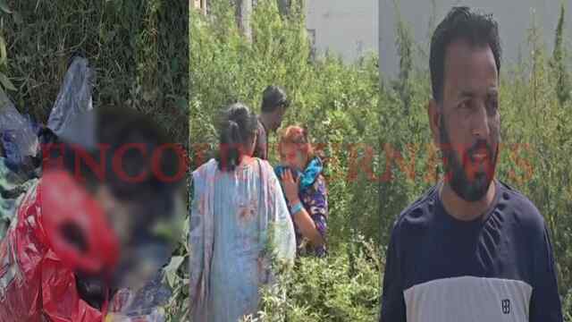 Jalandhar News: कूड़े के ढेर से भ्रूण मिलने से मचा हड़कंप, देखें वीडियो