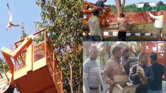 Haryana News: पेड़ में फंसा उल्लू, Rescue कर निकाला बाहर, देखें वीडियो