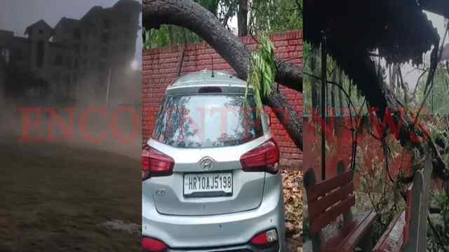 Punjab News: अचानक मौसम ने बदली करवट, तेज आंधी से कई जगह गिरे पेड़, देखें वीडियो