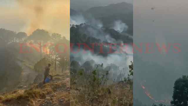 Kasauli और Shimla के जंगलों में आग, Chandigarh से भी दिख रही लपटें, IAF ने तैनात किए Chinook Helicopters, देखें वीडियो