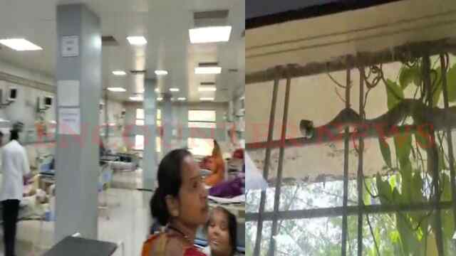 अस्पताल के ICU वार्ड में रेंगता दिखा 10 फीट लंबा सांप, देखें वीडियो