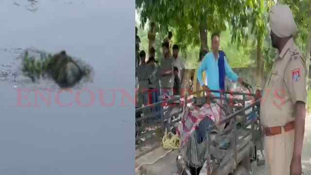 Punjab News: 3 दिनों से लापता व्यक्ति का बेईं से शव बरामद ,देखें वीडियो