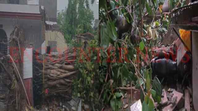 Punjab News: तेज तूफान के चलते गिरा बरगद का पेड़, मंदिर की टूटी दीवार, देखें वीडियो