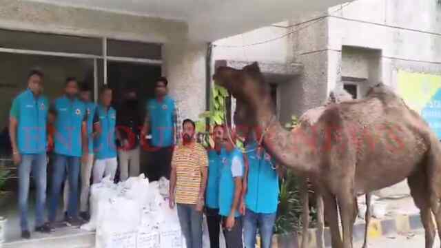 ऊंट से हो रही थी शराब तस्करी, 39 कार्टन सहित आरोपी गिरफ्तार, देखें वीडियो