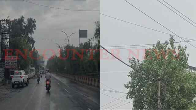 Jalandhar News: हल्की बारिश से बदला मौसम का मिजाज, मौसम विभाग ने जारी किया Alert , देखें वीडियो