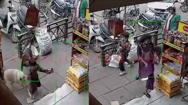 Punjab News: इस इलाके में कुत्तों का आतंक, 3 लोगों को बनाया शिकार, देखें CCTV