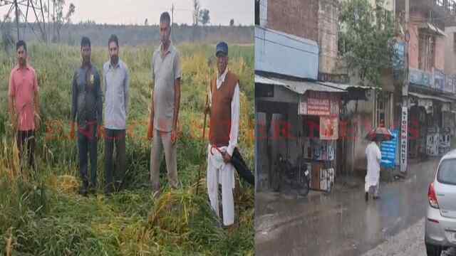 Punjab News: बे-मौसमी बारिश और तेज़ हवाओं से किसानों की बढ़ी मुश्किलें, देखें वीडियो