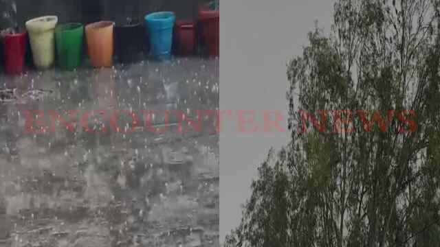 Jalandhar News: तेज बारिश के साथ हुई ओलावृष्टि, किसानों की बढ़ी चिंता, देखें वीडियो