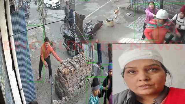 Punjab News: कुत्ते को लेकर विवाद, पड़ोसी ने बरसाए ईंट-पत्थर, महिला घायल, देखें CCTV