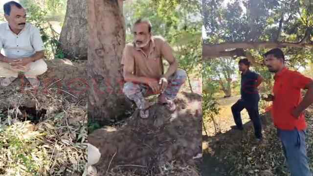 आम तोड़ने पर महिला को बुरी तरह पीटा, हुआ जमकर हंगामा, देखें वीडियो