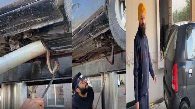 Punjab News: Punjabi Bagh Colony में कार से कोबरा निकलने से मचा हड़कंप, देखें वीडियो