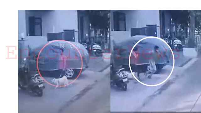 Punjab News: मोहल्ले में कुत्ता घुमा रही महिला से लूट, युवक ने रास्ता पूछने के बहाने की वारदात, देखें CCTV