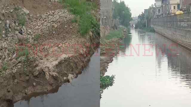 Punjab News: बुड्‌ढा दरिया किनारे अवैध कब्जे को लेकर रिपोर्ट पेश, NGT ने दिये जांच के आदेश, देखें वीडियो
