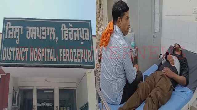 Punjab News: घोड़ा ट्राला और कंबाइन की आमने-सामने हुई टक्कर, कई घायल, देखें वीडियो