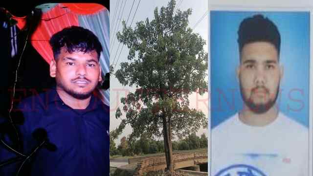 Punjab News: पेड़ में उतरे करंट की चपेट में आने से 2 युवकों की मौत