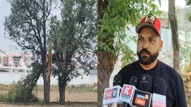 Jalandhar News : तेज आंधी से गिरा पेड़, बाप- बेटी की मौत, देखें वीडियो