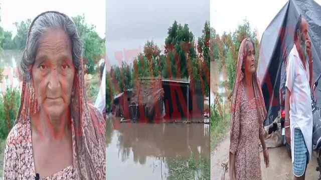 Punjab News: लगातार हो रही बारिश से लोगों के घरों में घुसा पानी, नदी किनारे बैठने को लोग मजबूर, देखें वीडियो