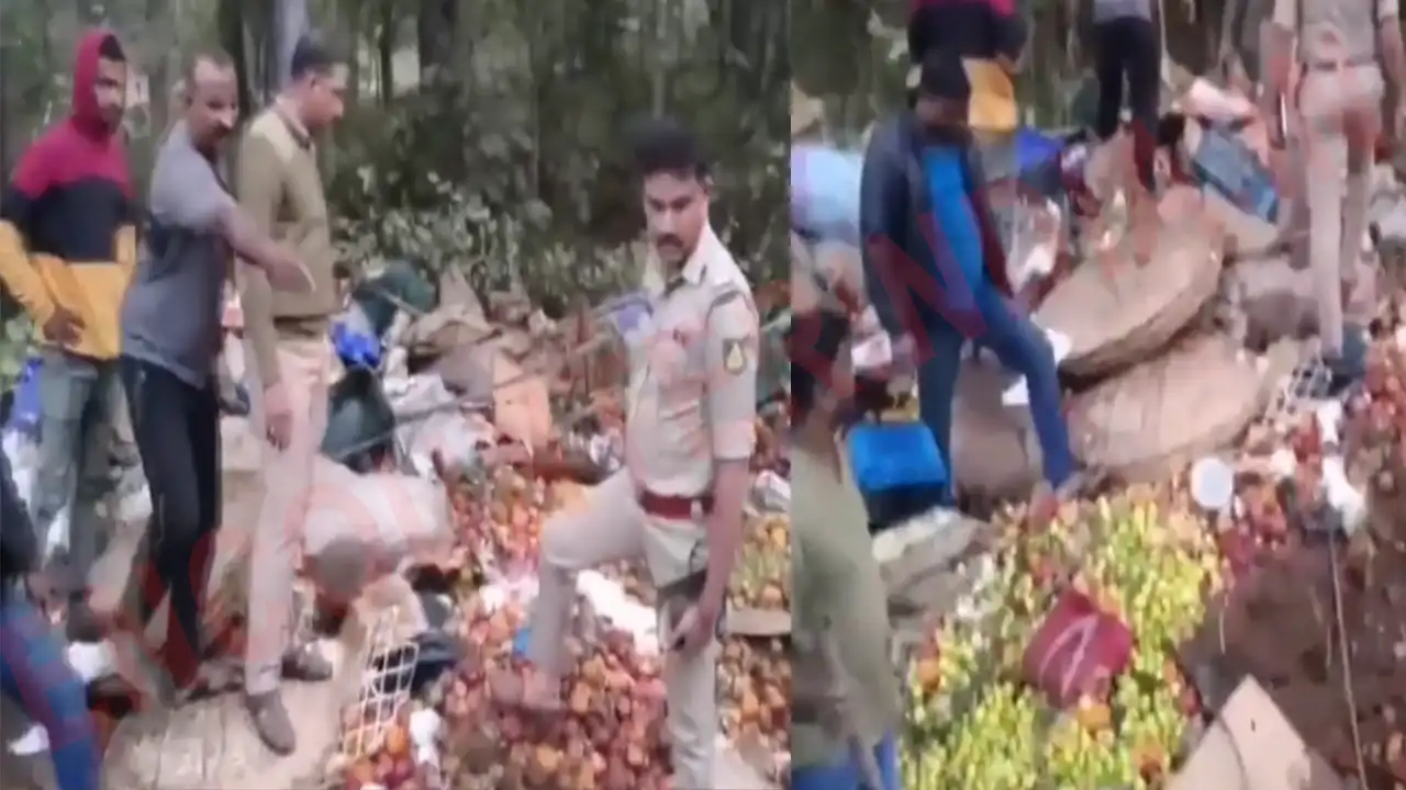 दर्दनाक हादसाः खाई में गिरा फलों से लदा ट्रक, 10 की मौत, कई घायल, देखें वीडियो