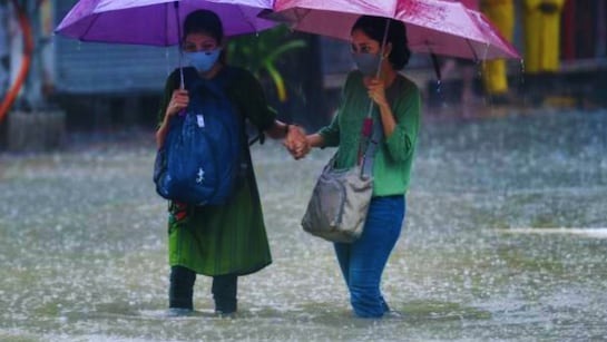 मौसम विभाग ने 9 जिलो में भारी बारिश का Yellow Alert किया जारी