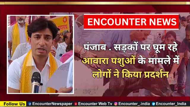 Punjab : सड़कों पर घूम रहे आवारा पशुओं के मामले में लोगों ने किया प्रदर्शन, देखें वीडियो