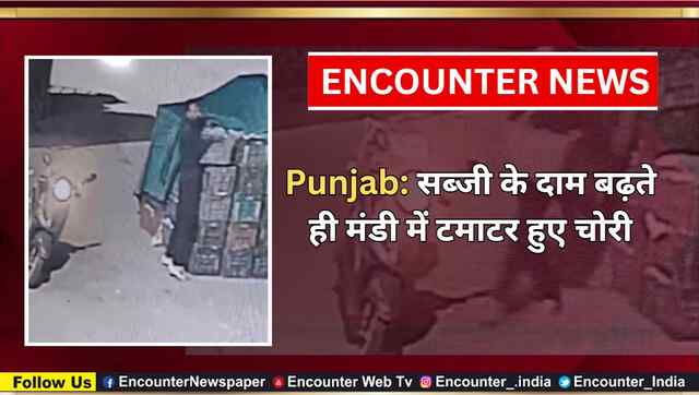 Punjab: सब्जी के दाम बढ़ते ही मंडी में टमाटर हुए चोरी, देखें वीडियो