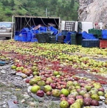 फलों से भरा वाहन सड़क पर पलटा, 3 घायल