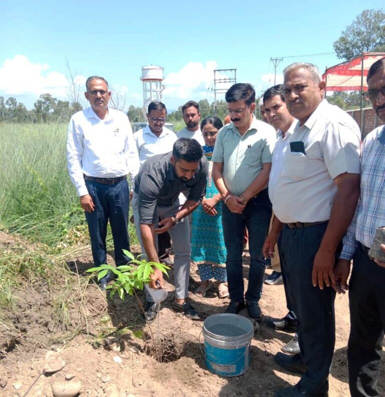 उपायुक्त ने बसाल में एक पौधा मां के नाम अभियान का किया शुभारंभ