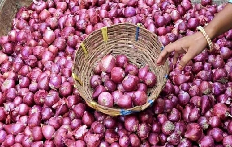Jalandhar News: आज मिलेगा सस्ता प्याज, दिखाना होगा आधार कार्ड