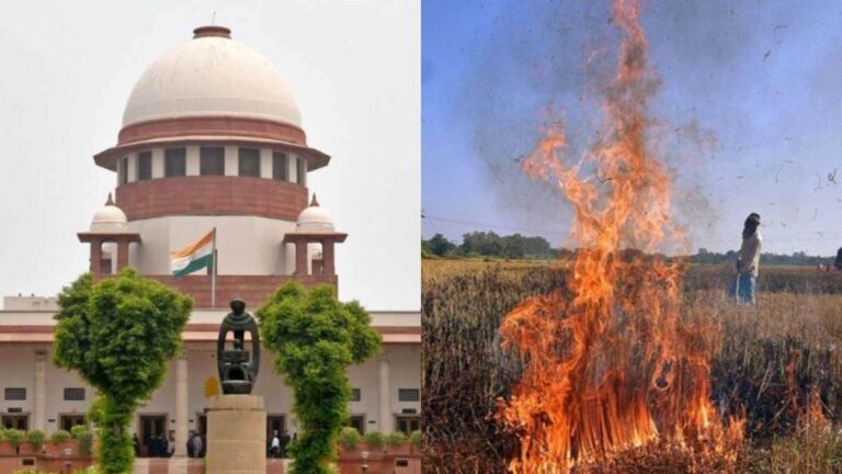 Punjab News: Supreme Court के आदेशों के बाद पराली जलाने वालों को लेकर सरकार सख्त