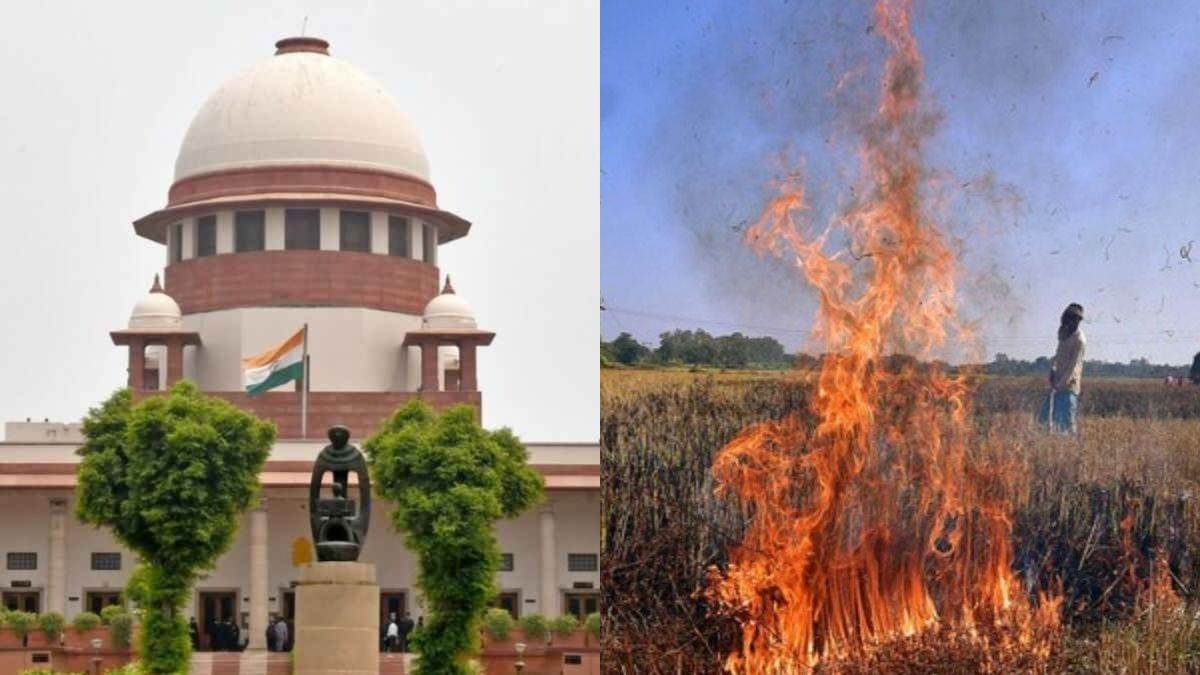 Punjab News: Supreme Court के आदेशों के बाद पराली जलाने वालों को लेकर सरकार सख्त