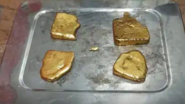 Private Part में छिपाकर ला रहा था सोना, Custom विभाग ने दबोचा