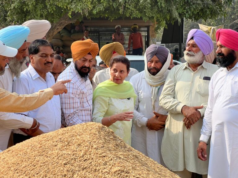 Punjab News: पूर्व MP Preneet Kaur पहुंची अनाज मंडी, लगाए आरोप, देखें वीडियो