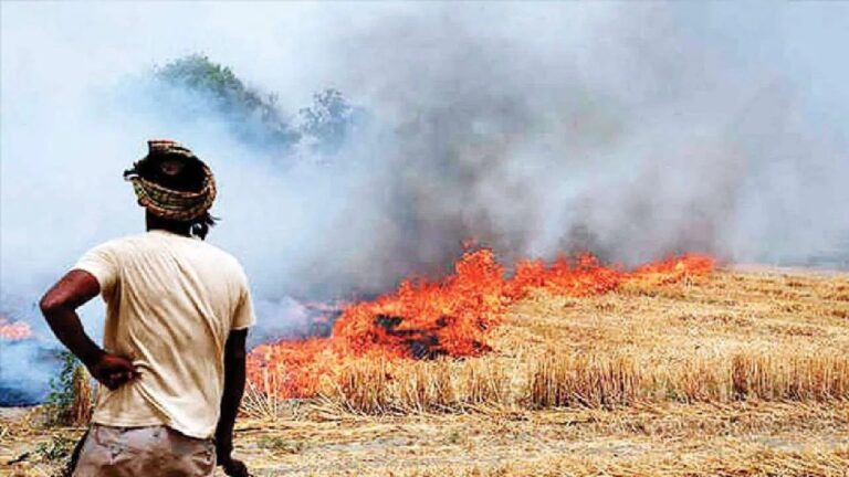 Diwali से पहले जहरीली हुई हवा, पराली जलाने के नए मामले आए सामने