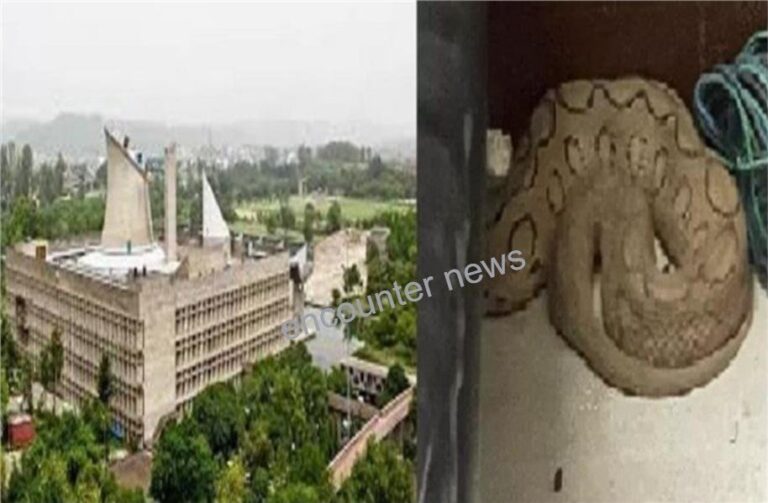 विधानसभा में सांप मिलने से मचा हड़कंप