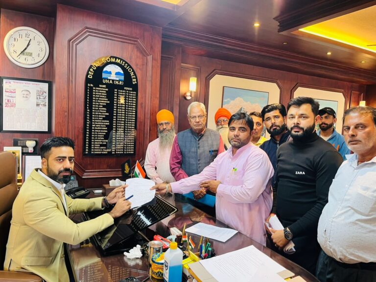 उपायुक्त ने लालसिंगी में दुर्घटना स्थल का किया दौरा, अधिकारियों को नाले पर रेलिंग लगाने के निर्देश