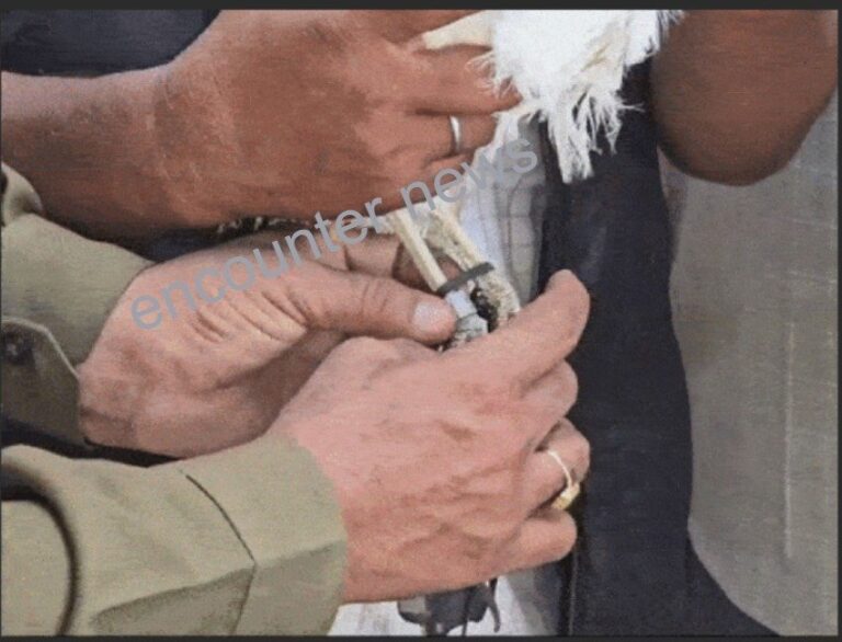 Border Area से पंजे में Device लगी मिला दुर्लभ पक्षी, जांच जारी