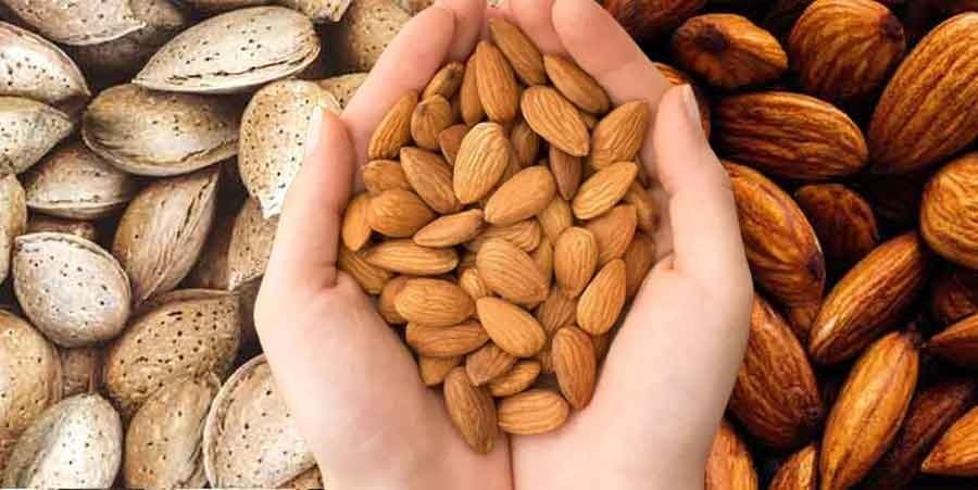 एक महीने तक रोजाना खाएं 5 बादाम, फिर देखें कमाल!